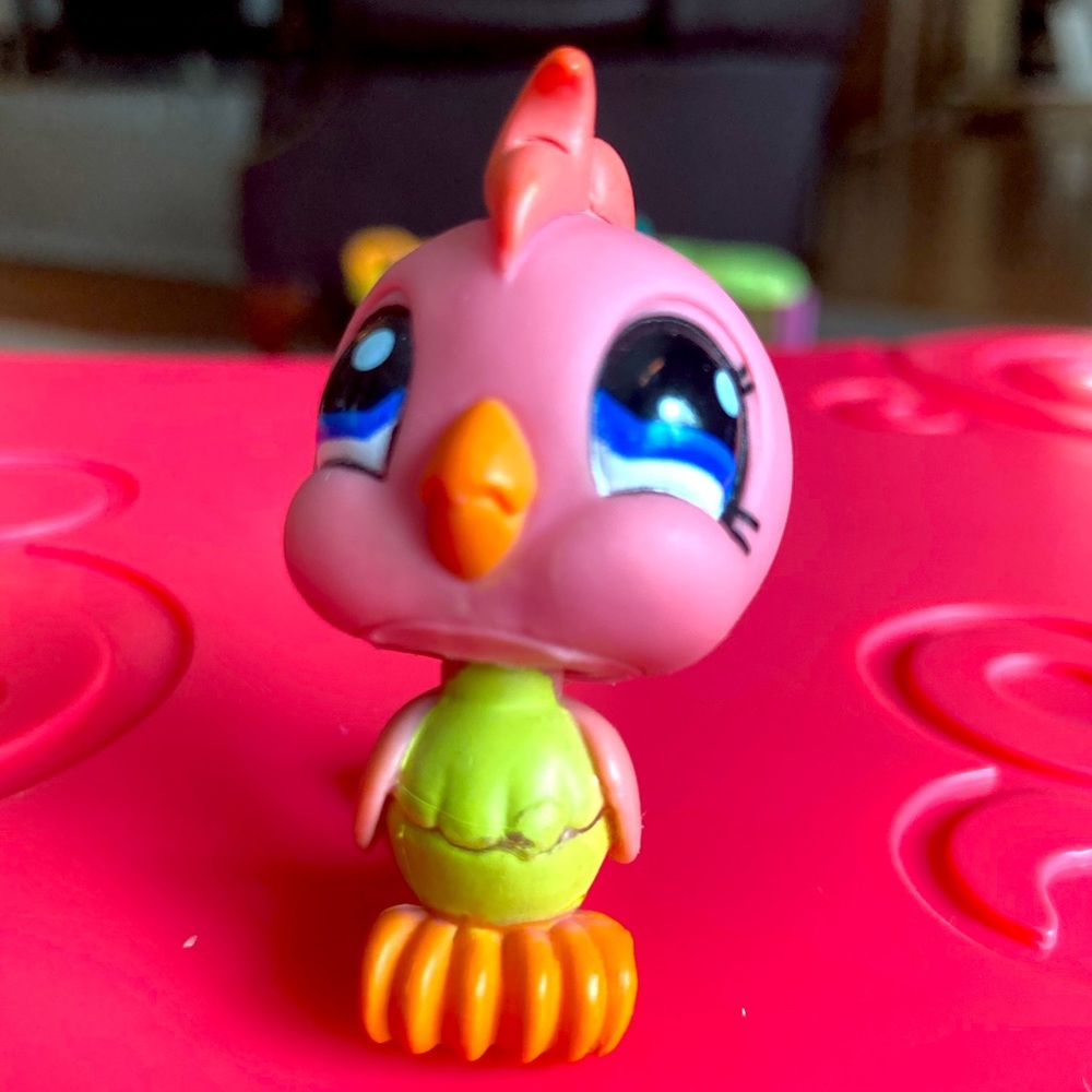 LPS coral cockatoo
